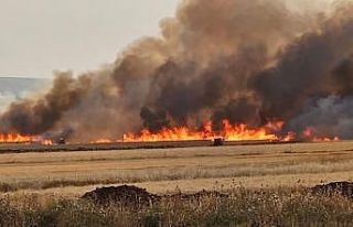 Araban Ovası’nda 8 ayrı noktada 2 bin dönüm...