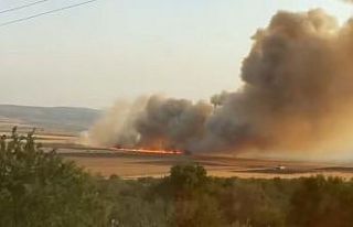 Araban Ovası’nda buğday tarlalarında yangın:...