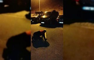 Araçların içerisine giren fareler vatandaşları...