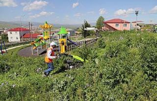 Ardahan Belediyesi’nden park ve bahçelerde bakım...
