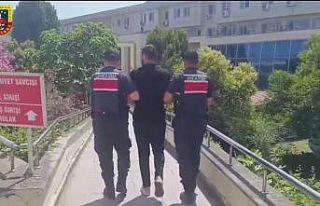 Arkadaşını silahla yaralamıştı, bungalovda saklanırken...