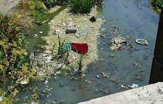 Arnavutköy’de kötü kokulu dere tepkisi
