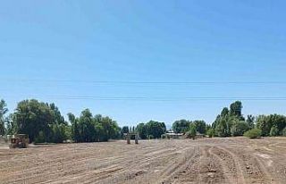 Arpalı’da mera alanları yeşillendiriliyor