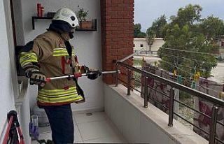 Arsuz’da evin balkonunda yılan paniği