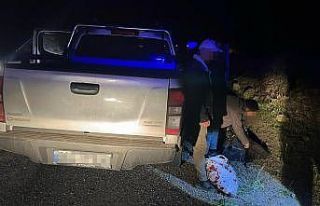 Artvin’de göçmen kaçakçılığı operasyonu:...