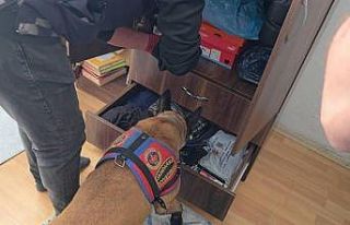 Artvin’de uyuşturucu operasyonu: 7 zehir taciri...