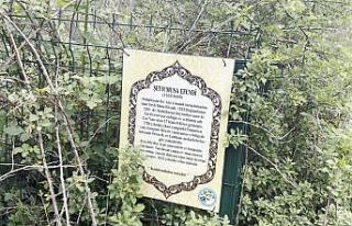 Asırlık türbe bakımsızlık ve kaçak kazılarla...