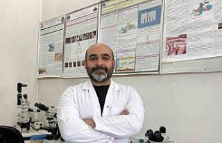 Asya kökenli kene için hastalık bulaştırma riski...