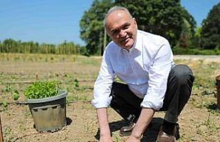 Ata tohumları toprakla buluştu