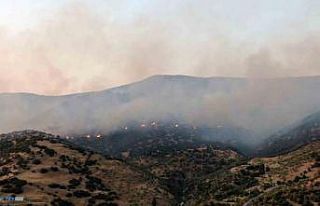 Aydın Efeler’deki yangına ekiplerin müdahalesi...