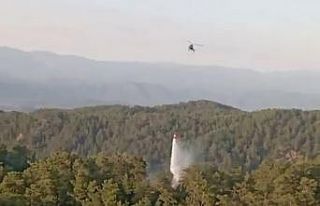 Aydın ve Muğla’daki orman yangınlarına hızlı...