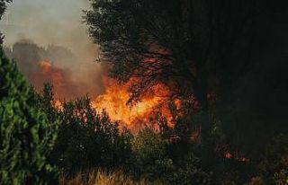 Aydın’da çiftçilere yangın uyarısı: Hasatta...