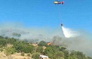 Aydın’da makilik alandaki yangın kontrol altına...