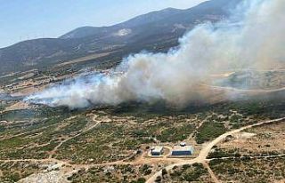 Aydın’da son 48 saatte 93 yangın çıktı, ateş...