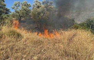 Aydın’da zirai alanda yangın çıktı