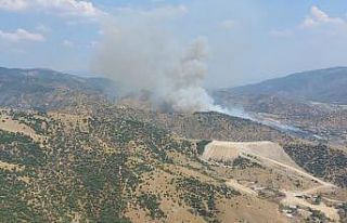 Aydın’da zirai alandaki yangın büyüyor