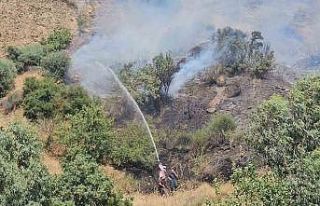 Aydın’daki yangınlar kontrol altına alındı