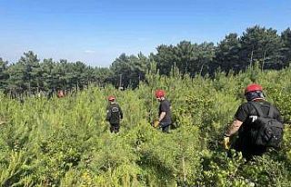 Aydos Ormanı’nda kaybolan şahsı arama çalışmaları...