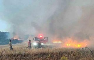 Ayvacık’ta tarım arazisinde yangın