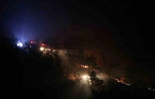 Ayvacık’taki yangın kısmen kontrol altına alındı