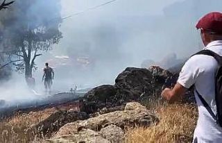 Ayvalık’ta orman yangını