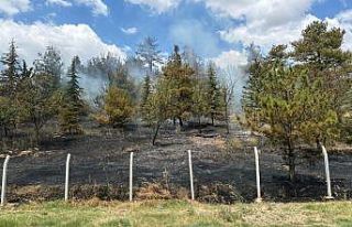 Babaeski’de çamlık alanda çıkan yangın söndürüldü