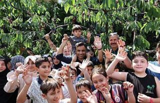 Bağcılar’da Kiraz Festivali coşkusu