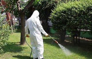 Bağcılar’da parklar ve yeşil alanlar ilaçlanıyor