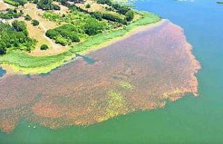 Baharın renklerine bürünen Terkos Gölü mest etti