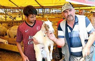 Bahçelievler kurban pazarı hem alıcıların hem...