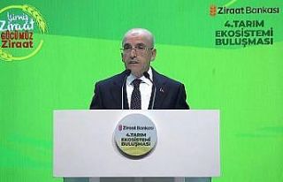 Bakan Şimşek: "Mayıs ayı itibarıyla yıllık...