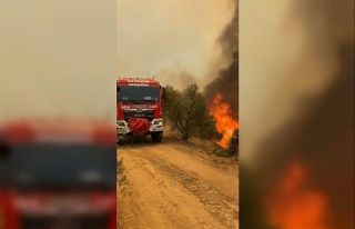 Bakan Yumaklı: "Hatay’da hava araçlarımız...
