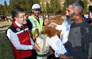Bakan Yumaklı, Kurban Bayramı’nda 830 bin büyükbaş...