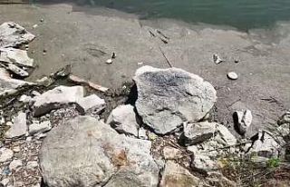 Bakırköy Botanik Parkı 14 aydır kapalı: "Bir...