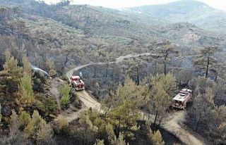 Balıkesir Havran’daki yangında havadan müdahale...