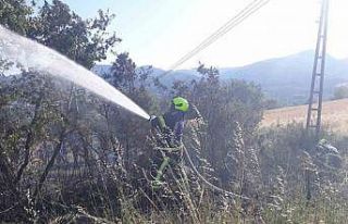 Balıkesir İtfaiyesi 9 günde 730 yangına müdahale...