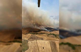 Balıkesir Kepsut’ta arazi yangını