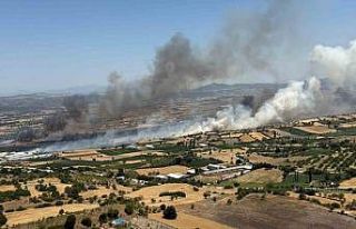 Balıkesir Pamukçu’da arazi yangını