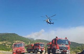 Balıkesir’de 11 orman ve arazi yangını meydana...