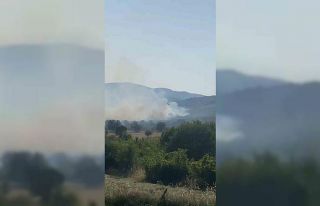 Balıkesir’de meralık alanda yangın