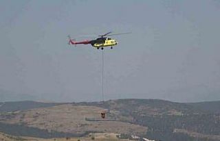 Balıkesir’de orman yangını