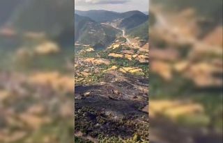 Balıkesir’de orman yangını kontrol altına alındı