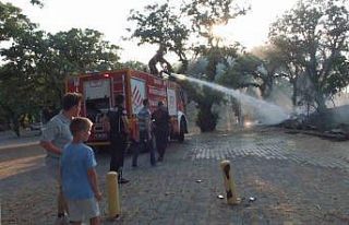 Balıkesir’de ot yangınını tüplerle söndürdüler