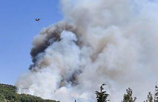 Balıkesir’deki orman yangınına müdahale ediliyor