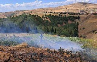 Balıkesir’in Altıeylül ilçesinde 2 arazi yangını