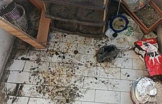 Balkonunda mangal yapan şahsa 2 bin 935 lira ceza