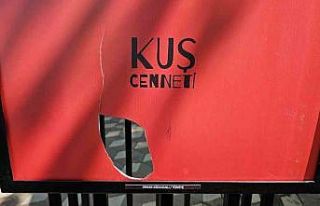 Bandırma’da afişler tahrip edildi