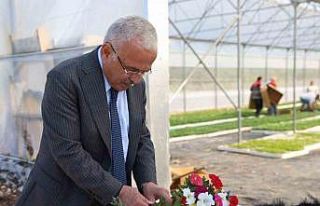 Başkan Güler: "Peyzaj çalışmalarında çiçekleri...
