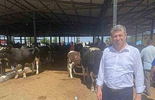 Başkan Künkcü hayvan pazarına indi