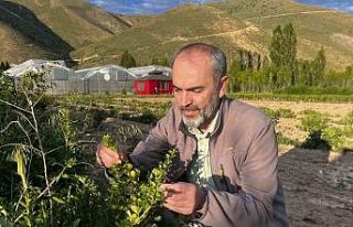 Bayburt Üniversitesi iklime uygun tarımsal ürünlerini...